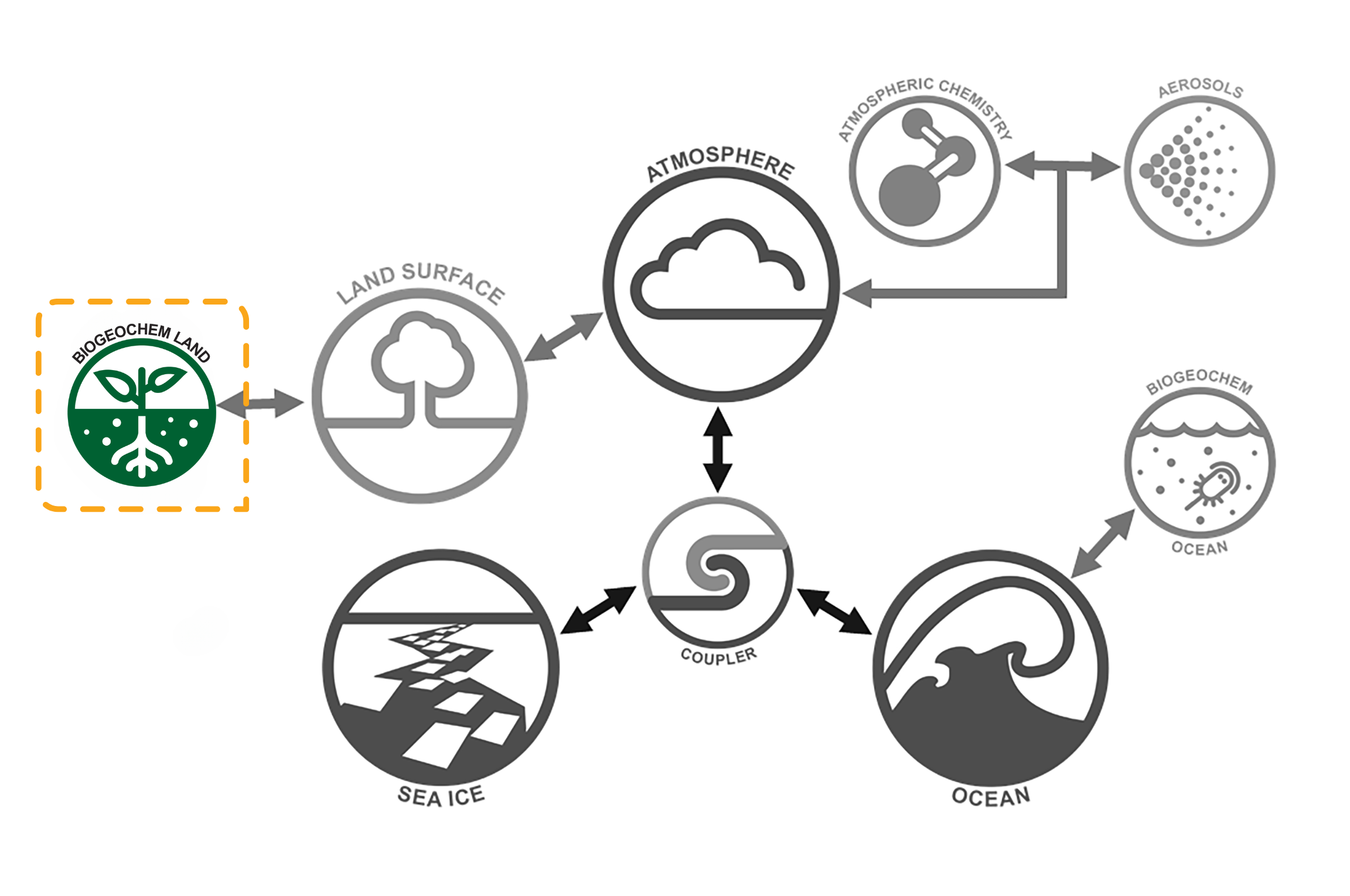 Biogeochemistry Land component image