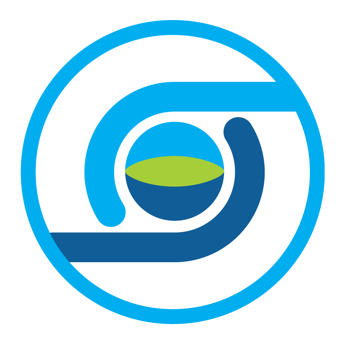 Earth System Modelling WG