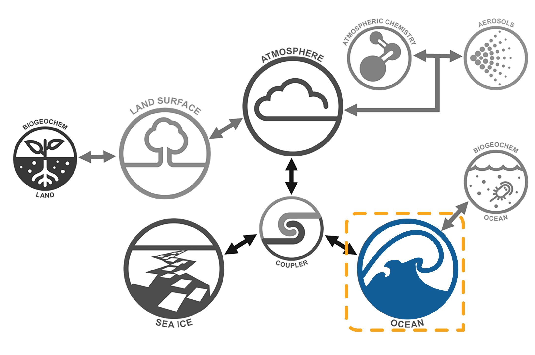 Ocean component image